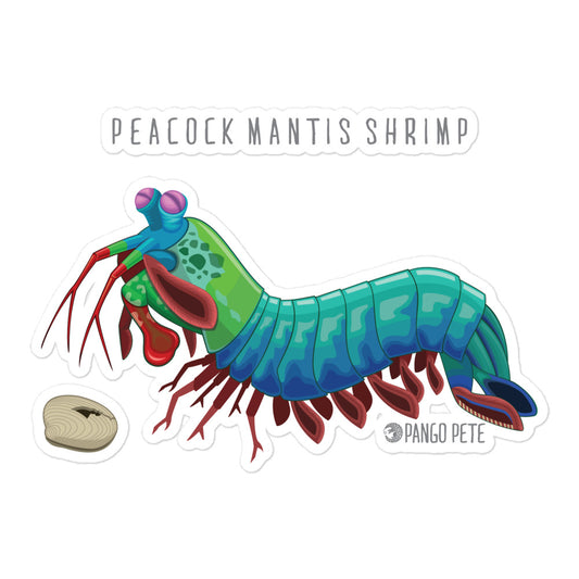 Peacock Mantis Shrimp Large Sticker