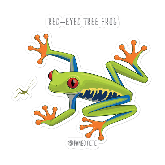 Red-Eyed Tree Frog Large Sticker